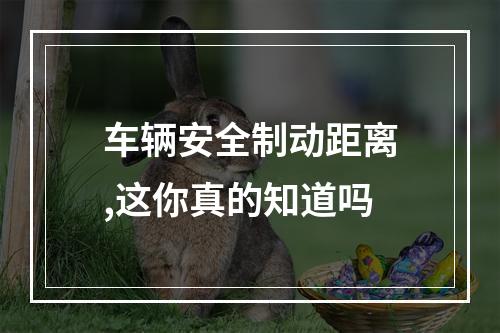 车辆安全制动距离,这你真的知道吗